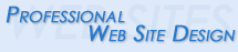 Professional Web Site Design