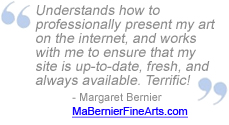 Professional Web Site Design